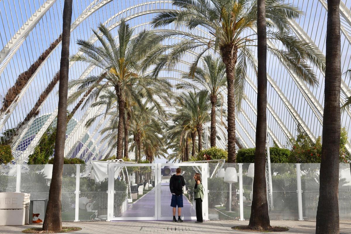 La discoteca al aire libre de L'Umbracle aún no ha iniciado su temporada