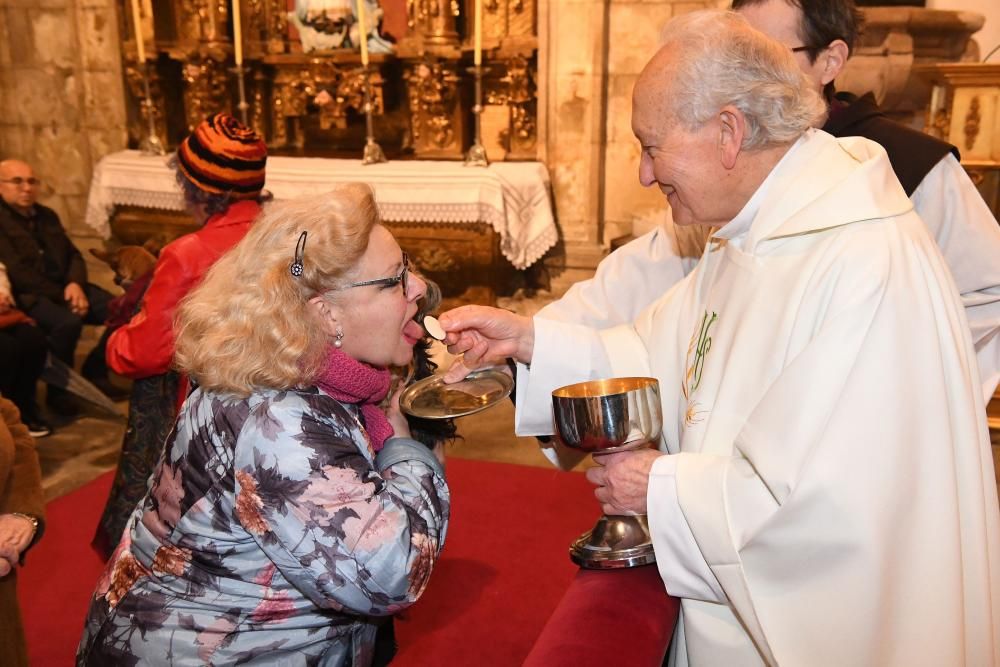 Bendición de mascotas en A Coruña