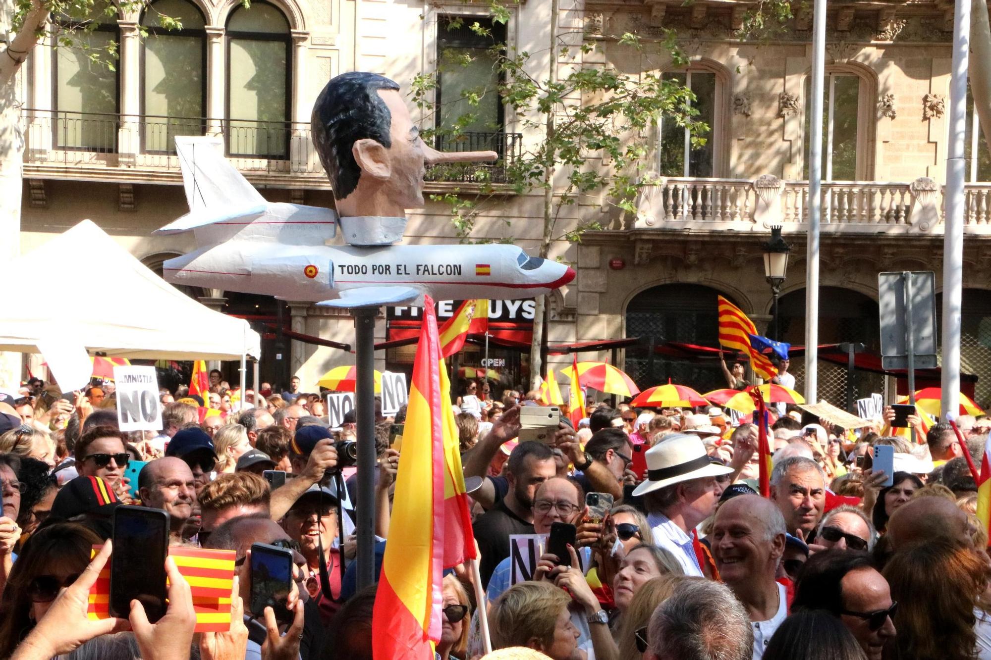 La manifestació en contra la amnistia i autodeterminació en imatges