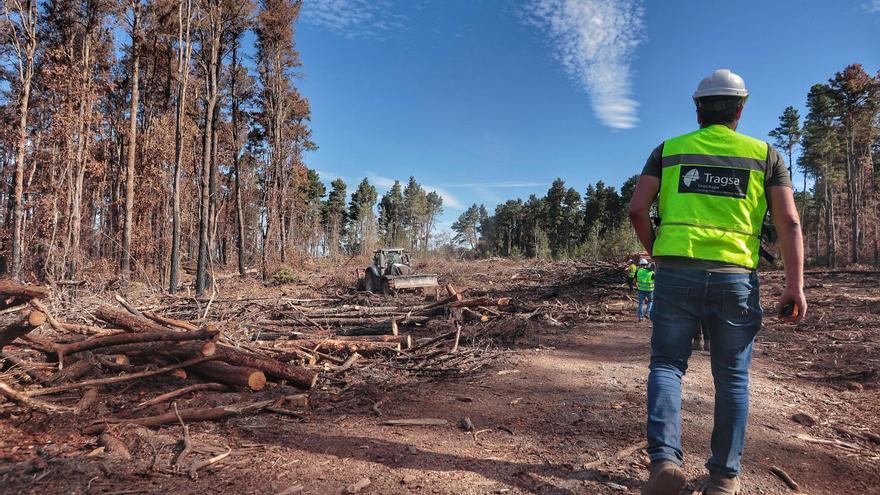 3,5 millones de euros para generar empleo en los municipios afectados por el incendio forestal