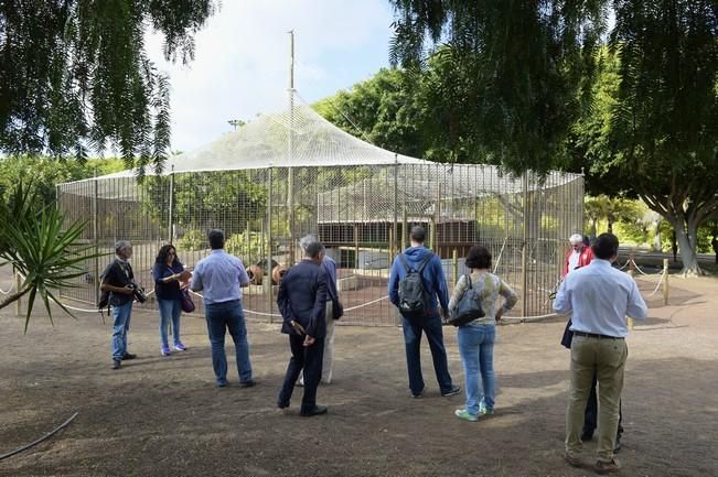 04-05-2016 TELDE. Nuevo espacio para aves en el parque de San Juan. Fotógrafo: ANDRES CRUZ