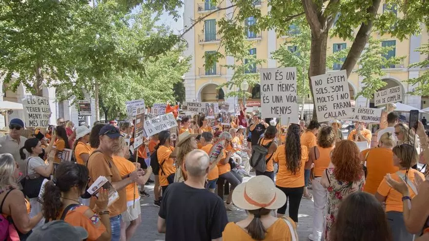 VÍDEO | Concentració a Girona per garantir la correcta gestió de les colònies felines