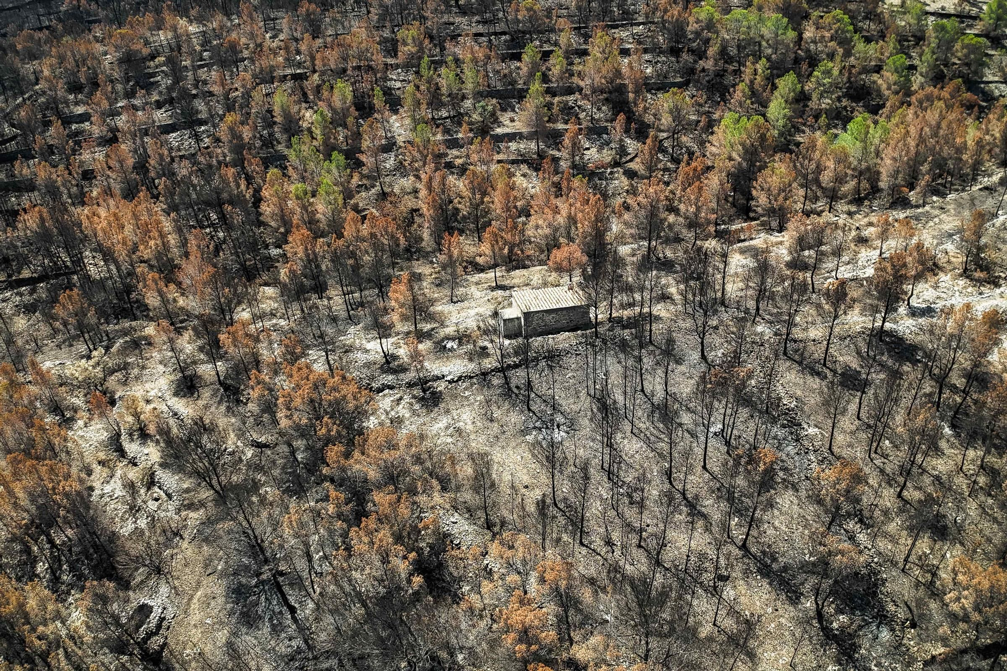 Les fotos de l'incendi de Paüls a vista de dron