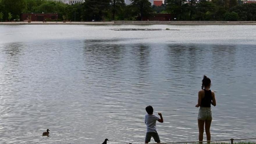 La nueva Ley de Infancia obligará a todos a denunciar la violencia contra los niños