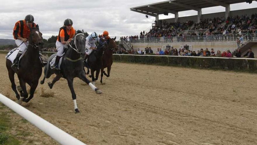 El desenlace de una las carreras, ayer, en el hipódromo de Antela ante numeroso público. // Jesús Regal