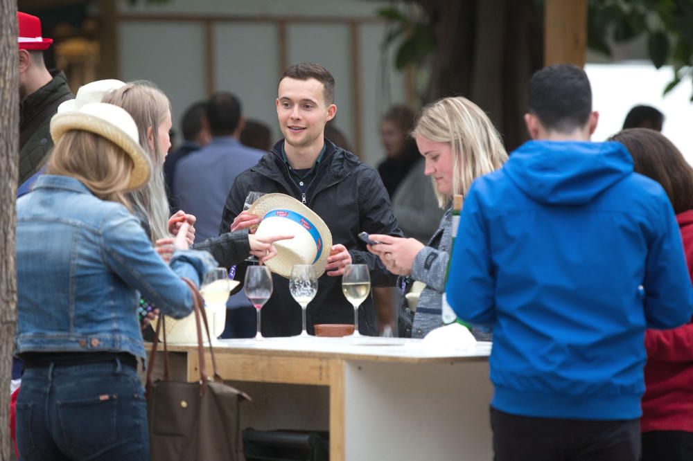 XXX Mostra de Vins de València