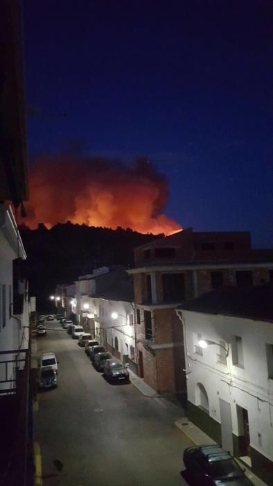 Incendio forestal en Carcaixent