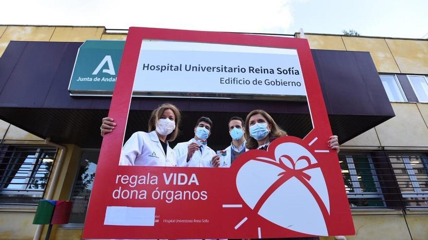 El hospital Reina Sofía realizó 185 trasplantes en 2020, un 14% menos por la pandemia