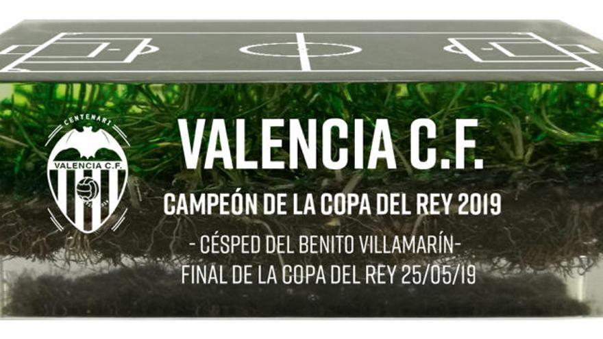 El césped donde el Valencia CF conquistó la Copa del Rey, para ti y para siempre