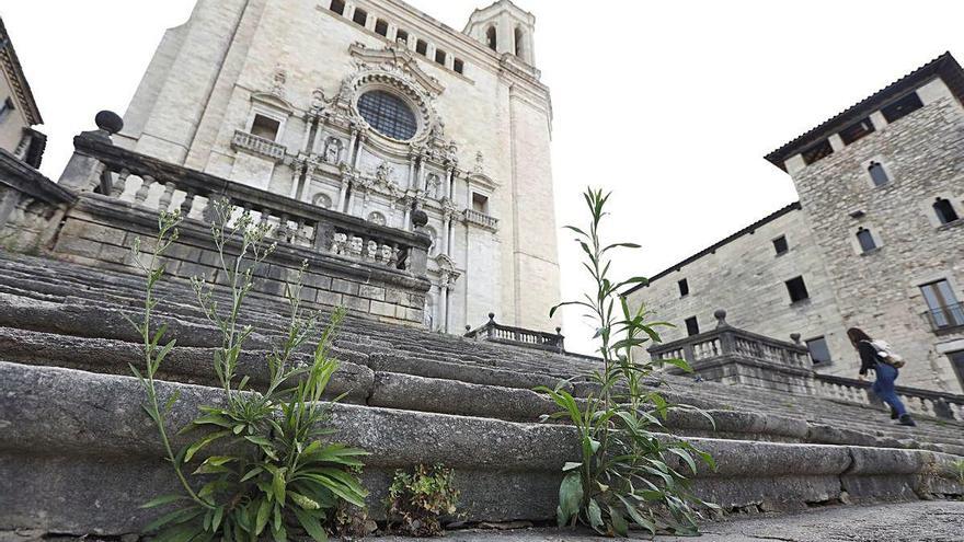 Herbes a l&#039;emblemàtica escalinata de la Cateral de Girona, fotografiada milers de cops cada any, tot i que aquest any una mica menys.