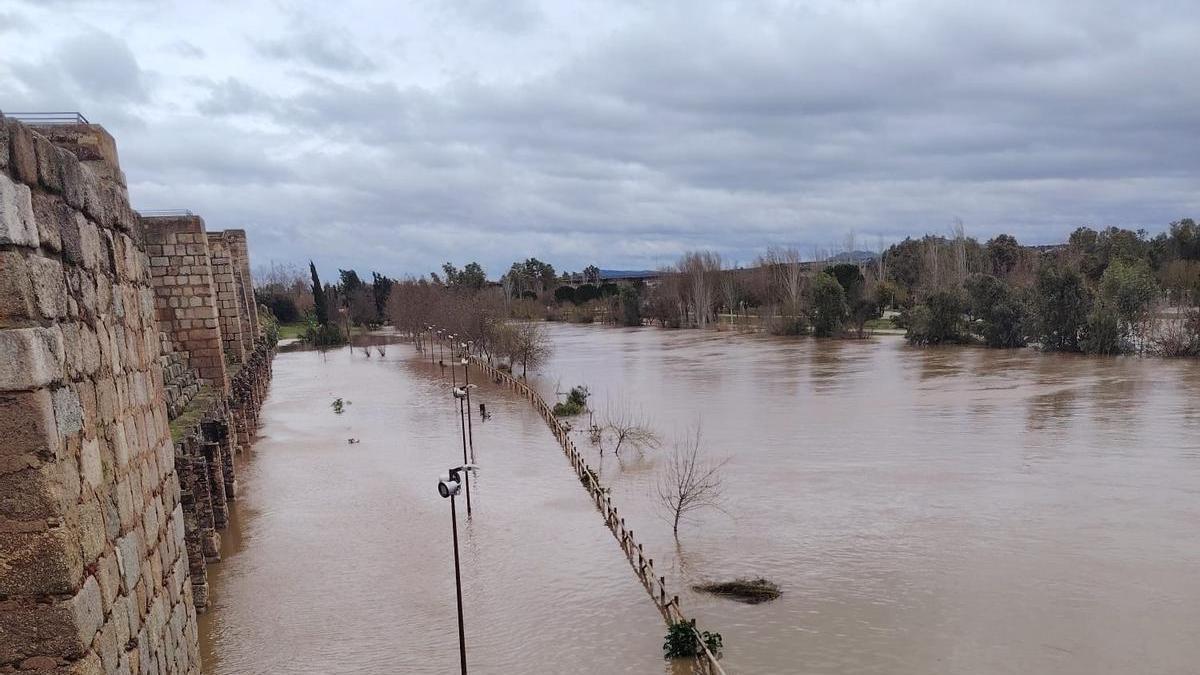 La crecida del río Guadiana a su paso por Mérida anega el parque de La Isla