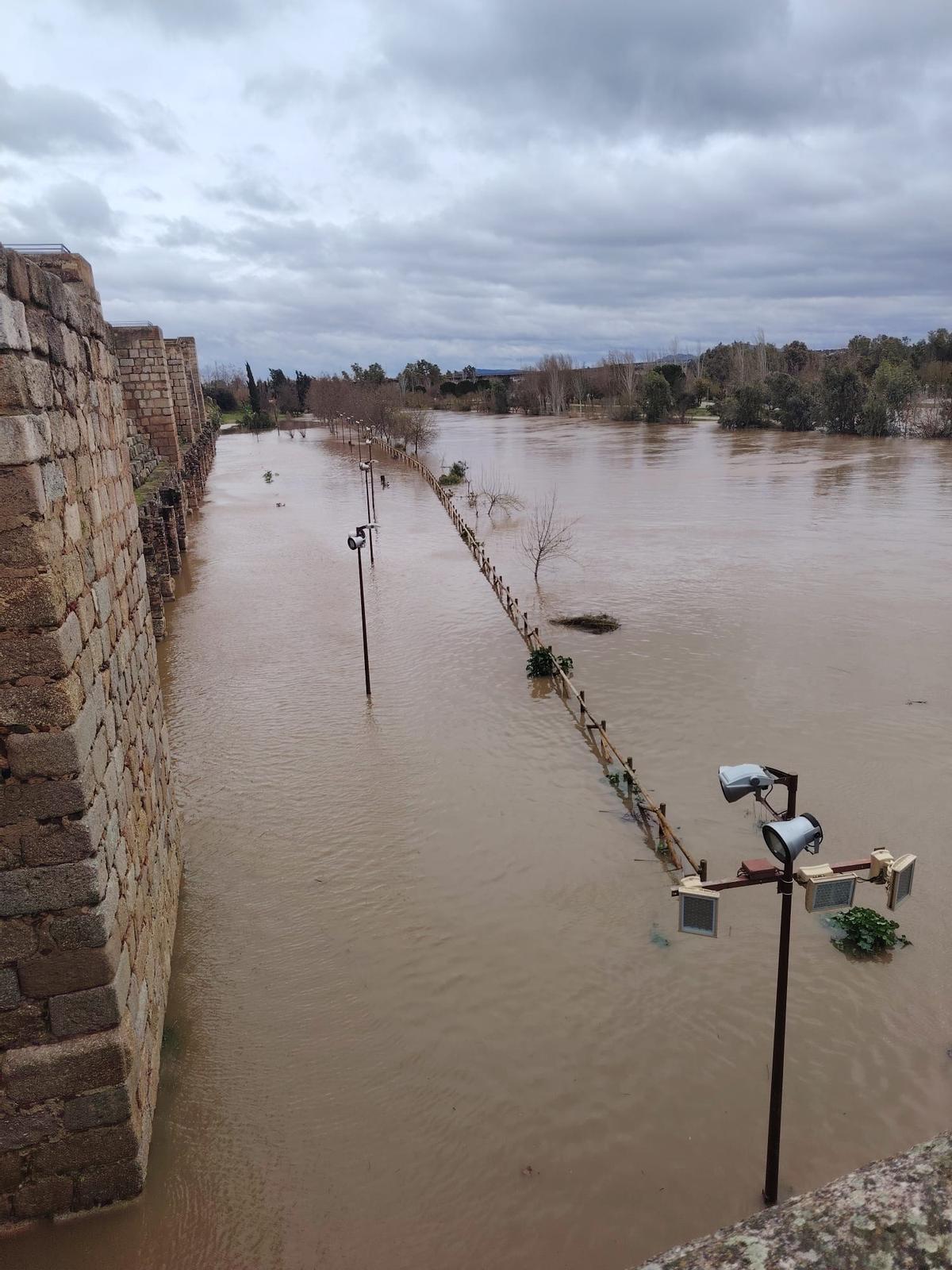 La crecida del río Guadiana a su paso por Mérida anega el parque de La Isla