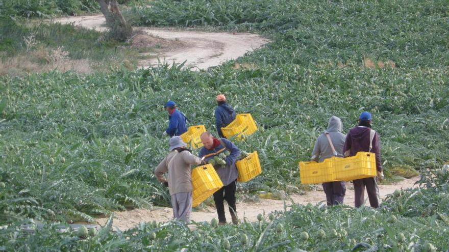 Mutxamel abre el plazo de ayudas para los agricultores de la Huerta