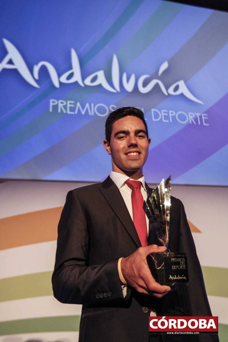 FOTOGALERÍA / Entrega de los Premios Andalucía del Deporte.