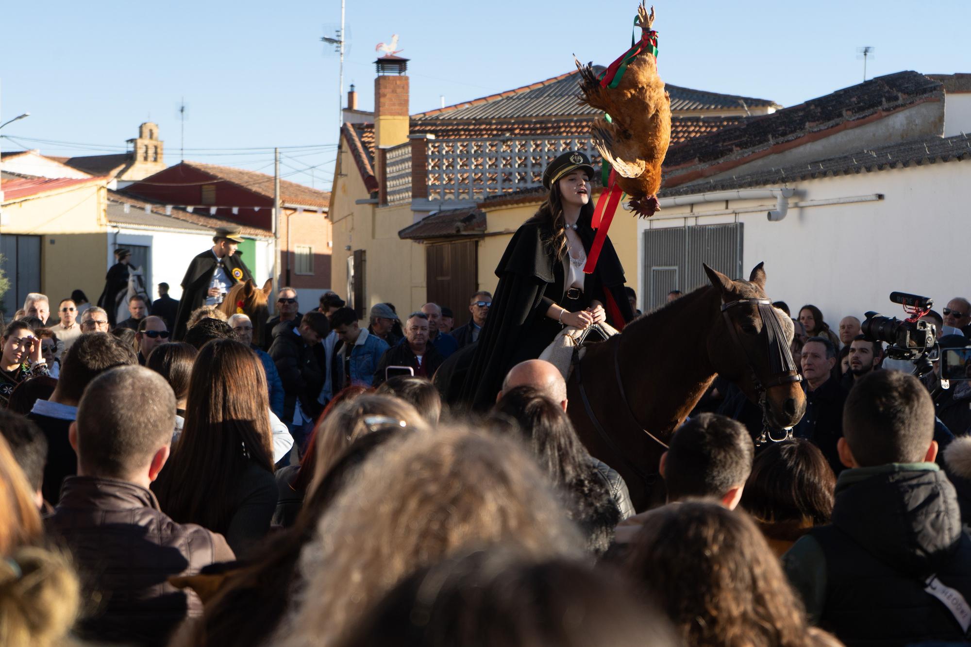 GALERÍA | Fiesta de los quintos en El Pego