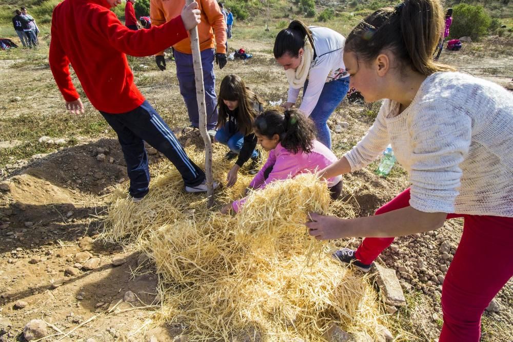 Proyecto para convertir la cantera de Cox en zona verde