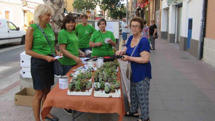 Kanguros vende cactus para financiar su banco de alimentos