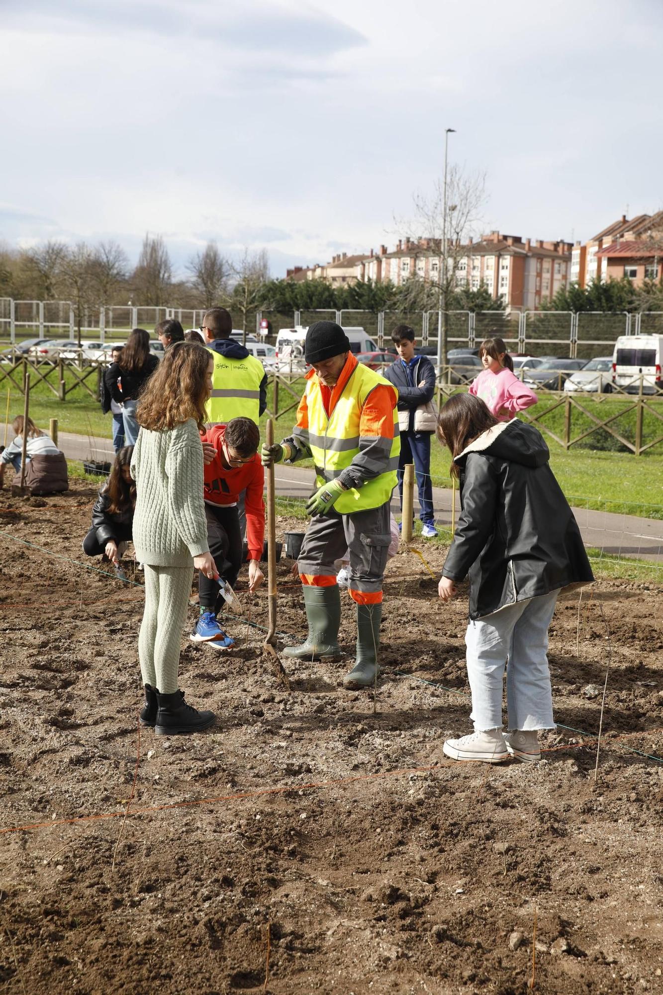 El secretario de Estado Hugo Morán participa en la plantación de minibosques en Gijón (en imágenes)