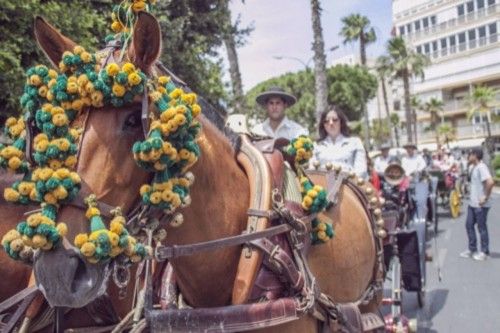 El desfile ecuestre toma el Real de Torrevieja