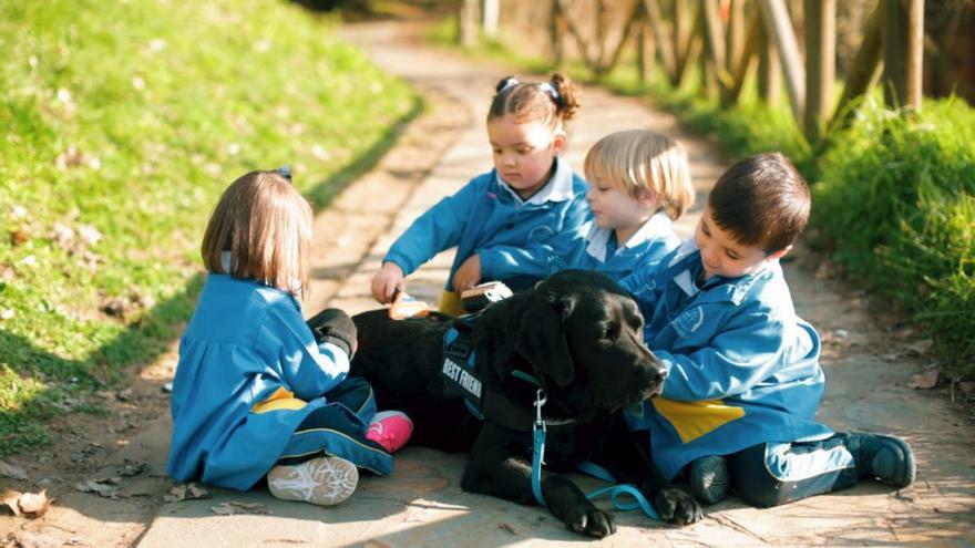 Perros de apoyo en el Santa María del Naranco