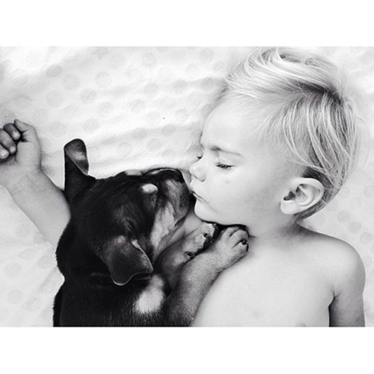 Beau, durmiendo junto a su perro, Theo