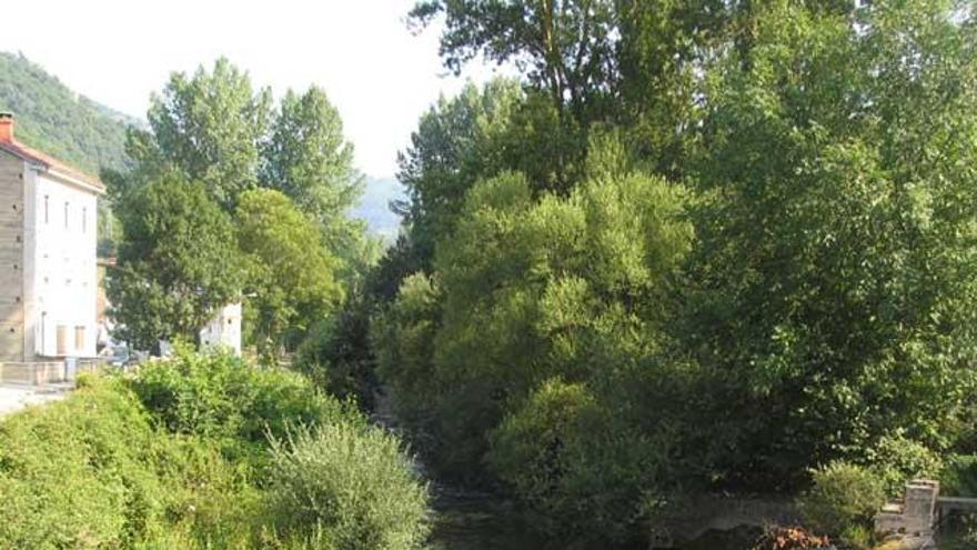 El río Aller en Casomera, donde estaba proyectada la minicentral.