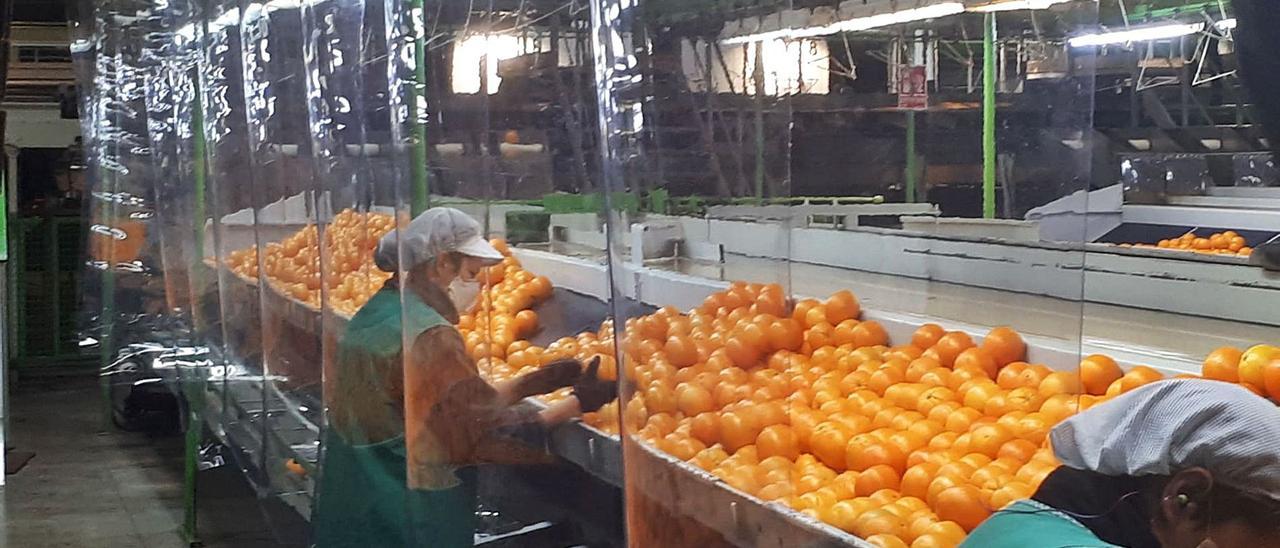 Las exportaciones valencianas se recuperan en agosto y atenúan la caída anual al 11,8 %