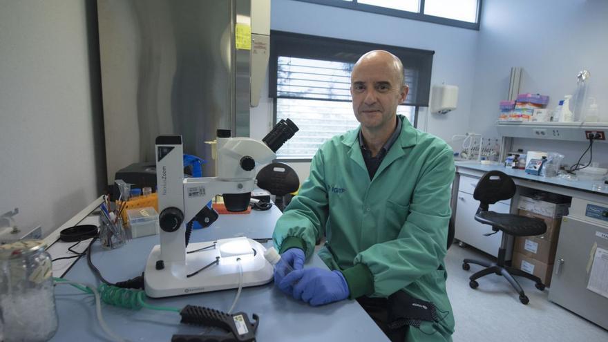 El microbiòleg manresà Pere-Joan Cardona alerta que la covid ha batut el rècord d’infecció del xarampió