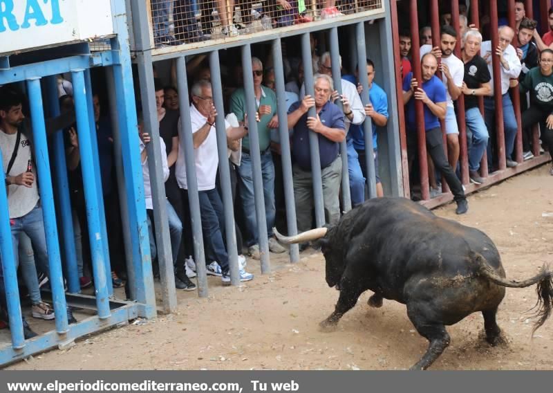 Fiestas patronales de Santa Quitèria de Almassora I