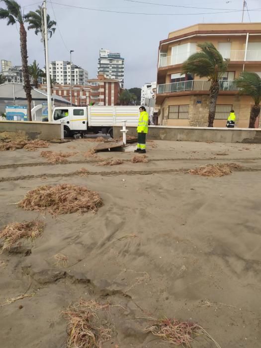 Daños por el temporal en El Campello