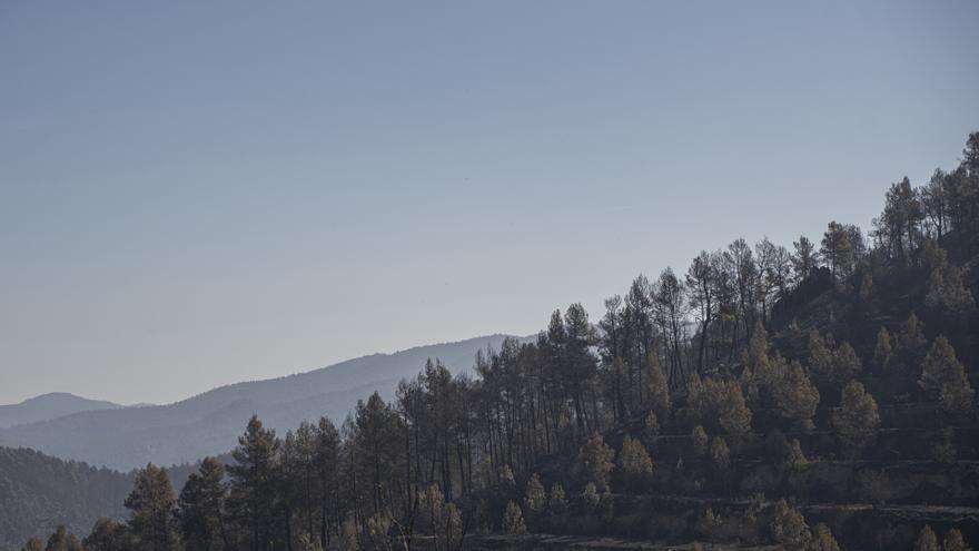 Extinguido el incendio forestal de Villanueva de Viver tras 20 días de trabajo