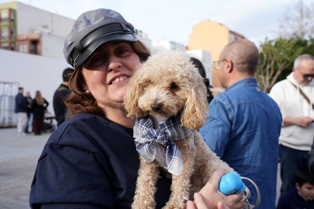 Mascotas disfrazadas en el Carnaval del Grau de Castelló. ¿Has participado? Búscate en esta divertida iniciativa