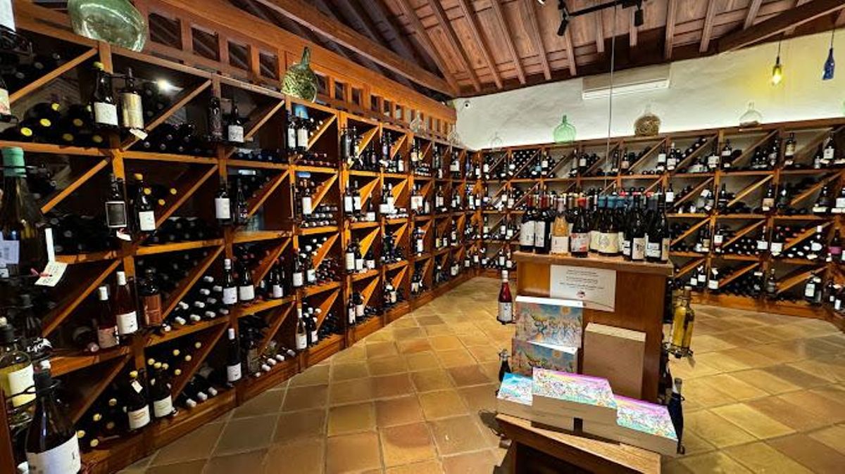 Neither time, nor pests: the story of a Canarian wine that conquered Palacios and resisted the disaster Neither time, nor pests: the story of a Canarian wine that conquered Palacios and resisted the disaster