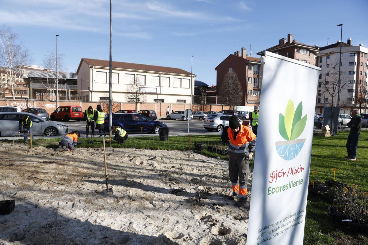 Participantes en una plantación en Moreda.