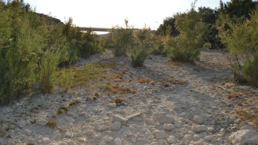 Cauce del río Mula toralmente seco a su paso por Campos del Río