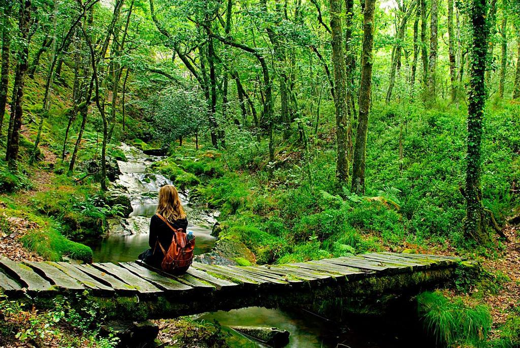 Bosque cercano a Villanueva de Oscos.