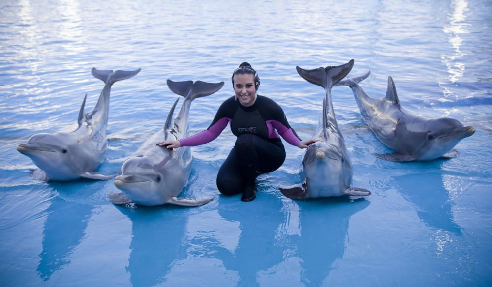 Posando con los delfines del Oceanogràfic. Peinetas incluidas.