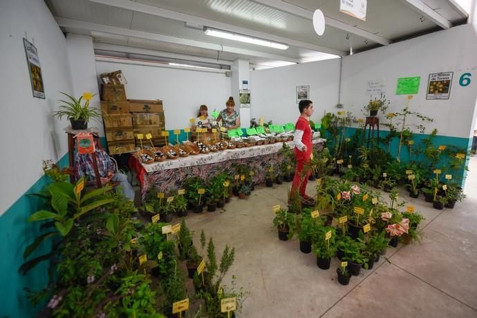 Feria Ecológica de Gran Canaria