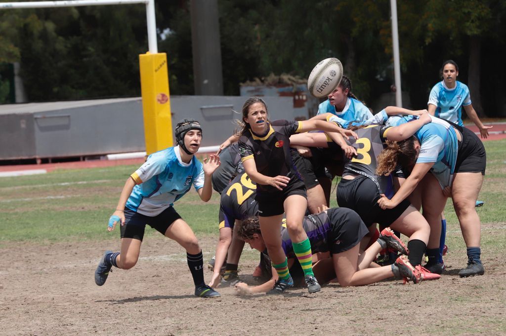 Torneo de rugby