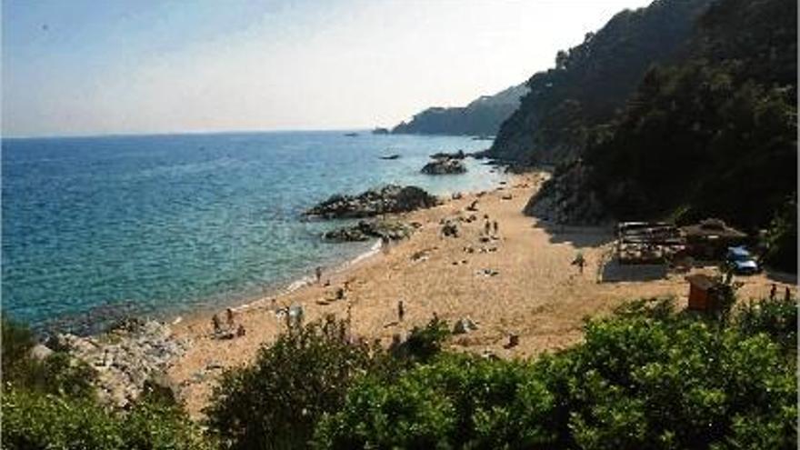 Imatge d&#039;arxiu de la platja de Sa Boadella de Lloret, on ahir al migdia va morir una veïna de Riudarenes.