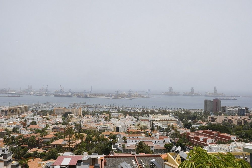 Tiempo en Las Palmas de Gran Canaria