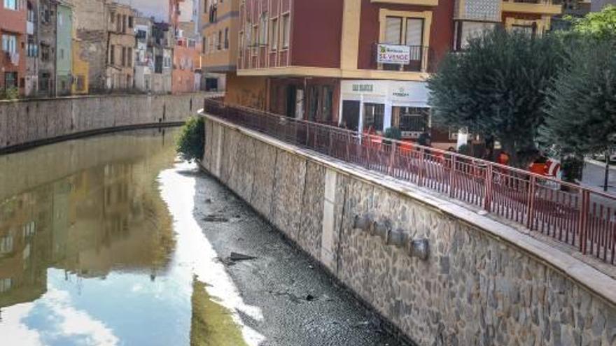 Orihuela reclama a la CHS que limpie el río ante el peligro de inundación por gota fría