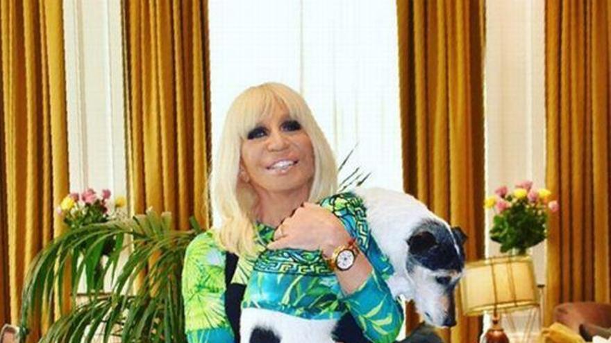 Donatella viste a su perro como Jennifer Lopez