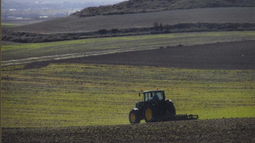 Un tractor trabaja en el campo.