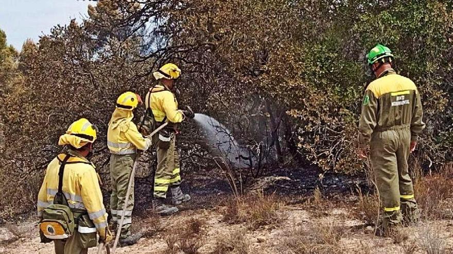 Efectivos continúan los trabajos de extinción del incendio de la Sierra de La Silla.