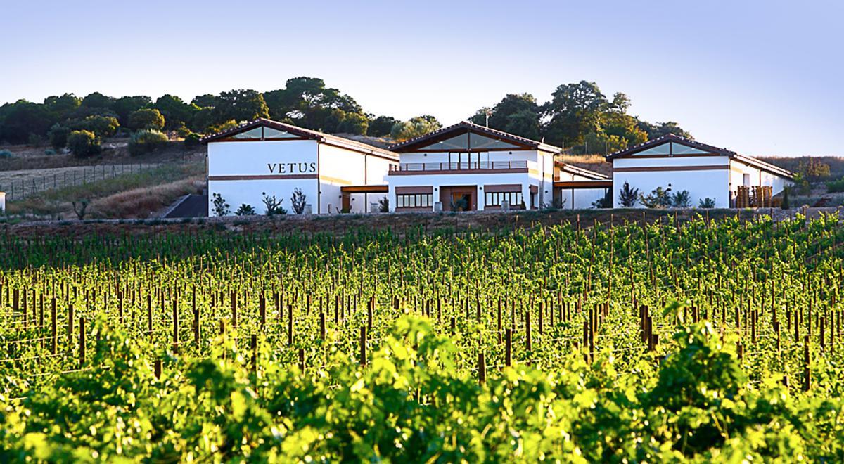 Bodegas Vetus, en la Denominación de Origen de Toro