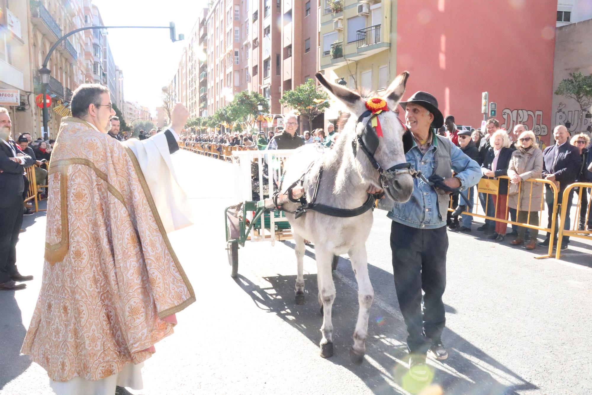 Perros policía y animales de granja completan el desfile de Sant Antoni en València