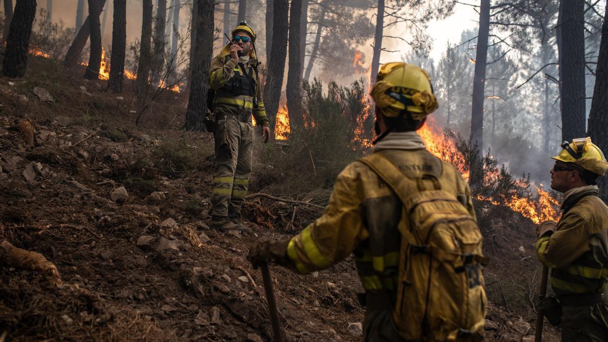 INCENDIO SIERRA DE LA CULEBRA | Los bomberos tratan de apagar las llamas.