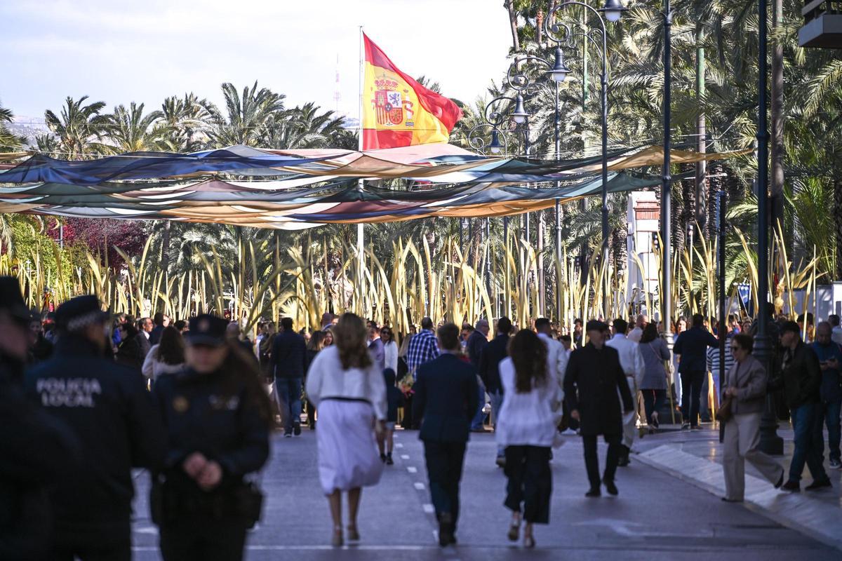 Las mejores imágenes del Domingo de Ramos en Elche