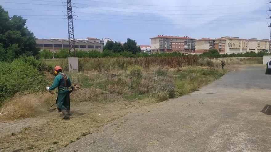 Trabajos de desbroce de la brigada del Ayuntamiento de Plasencia.